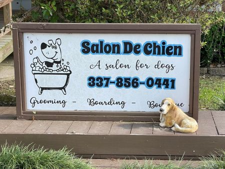 salon